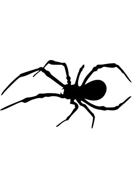 BYR002 Örümcek Sticker Oto Motor Laptop Duvar Folyo Sticker 20X10 cm [efsngrck]