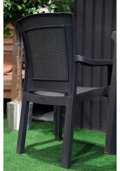 Roma Rattan Sırtlı Kollu Koltuk Balkon Bahçe Sandalyesi 4'lü Set fırsatları