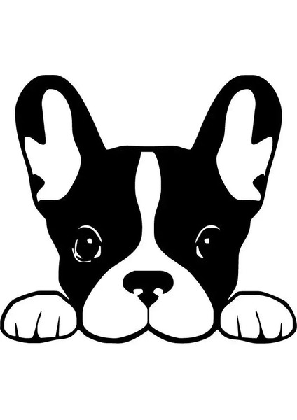 Camdan Bakan Köpek - Araç, Oto, Laptop, Duvar Uyumlu Sticker 40*36 cm
