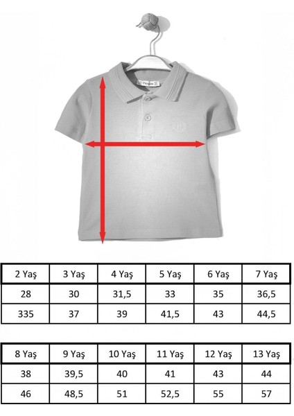 Erkek Çocuk Basic Beyaz Polo Yaka Tshirt 2-5 Yaş fiyatları