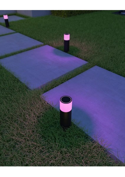 Akıllı Dış Mekan LED Bahçe Lambası 2'li Set,rgb Renkler, Sıcak Beyaz Işık, Kısılabilir