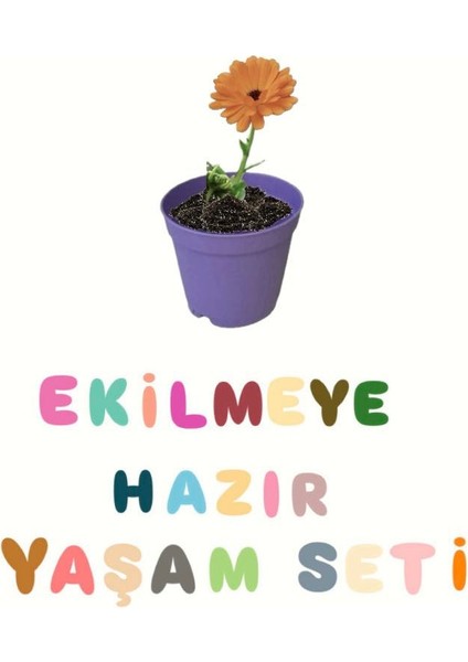 Ekilmeye Hazır Yaşam Seti