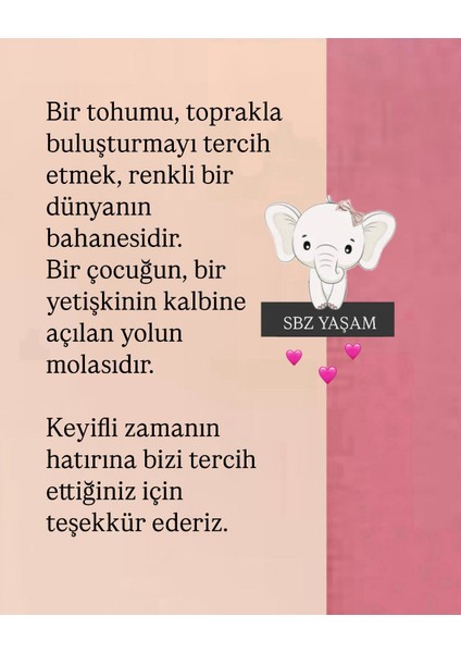 Ekilmeye Hazır Yaşam Seti fırsatları