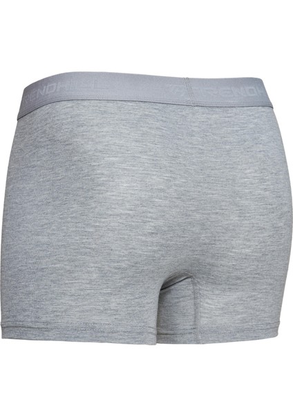 Erkek Pamuklu Likralı Esnek Kumaş Boxer Gri 7811-G fiyatları