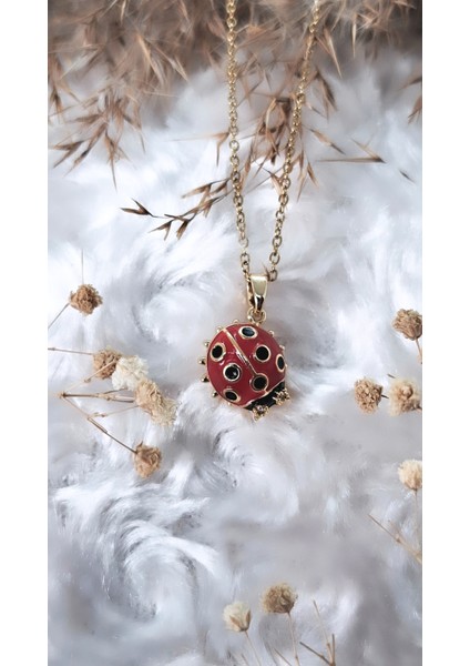 Uğur Böceği Figürlü Çelik Kolye fırsatları