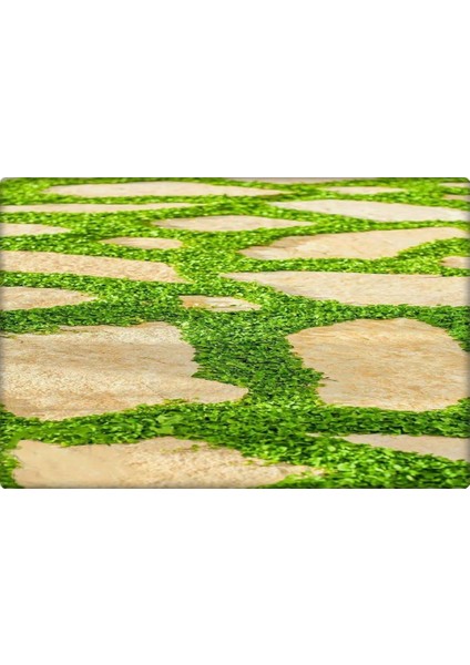 Fare Kulağı - Dichondra Repens(1 Kg) Orijinal Kutu modelleri