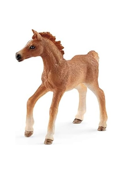 Horse Club Tay Seti fiyatları