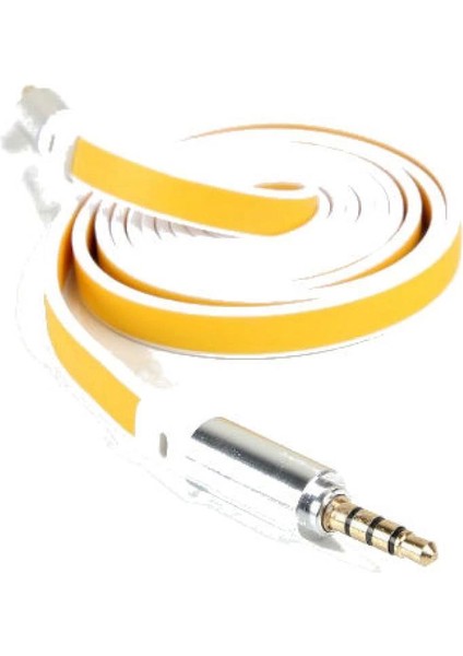 Aux Kablosu 100 cm (336336) fırsatları
