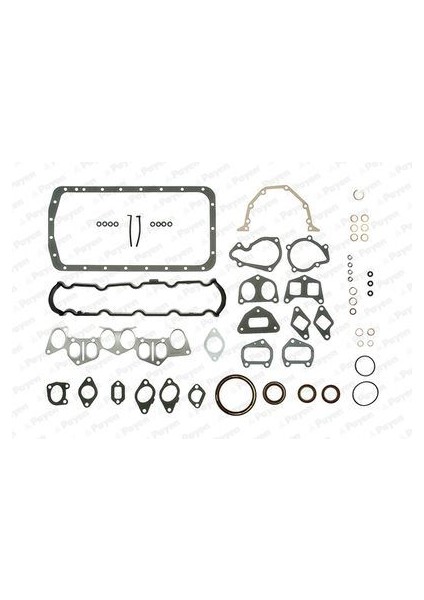 PAYEN-GJ720 - Motor Full Takım Contası Berlıngo Xsara P205 P306 P405 P406 Boxer Exper 1.9 D