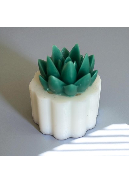 Sivri Yaprak Sukulent Silikon Kalıp fiyatları