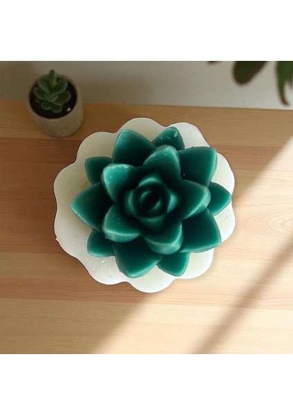 Sivri Yaprak Sukulent Silikon Kalıp modelleri