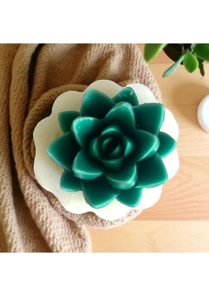 Sivri Yaprak Sukulent Silikon Kalıp fırsatları