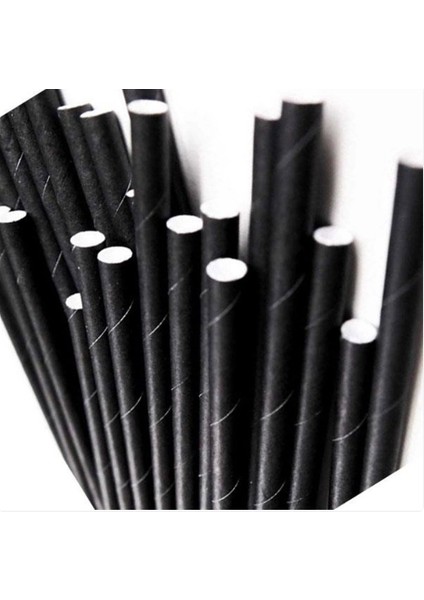 Hijyenik Kağıt Pipet Siyah (100 Adet)