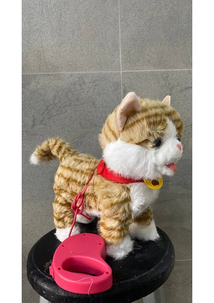 Şarjlı Müzikli Yürüyen Miyavlayan Yalayan Kuyruk Başını Sallayan Ses Kaydını Tekrarlayan Peluş Kedi fiyatları
