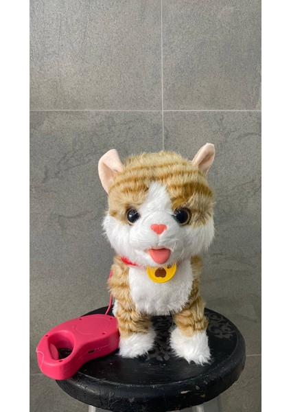Şarjlı Müzikli Yürüyen Miyavlayan Yalayan Kuyruk Başını Sallayan Ses Kaydını Tekrarlayan Peluş Kedi modelleri