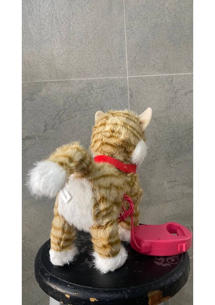 Şarjlı Müzikli Yürüyen Miyavlayan Yalayan Kuyruk Başını Sallayan Ses Kaydını Tekrarlayan Peluş Kedi fırsatları
