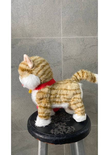 Şarjlı Müzikli Yürüyen Miyavlayan Yalayan Kuyruk Başını Sallayan Ses Kaydını Tekrarlayan Peluş Kedi indirimleri