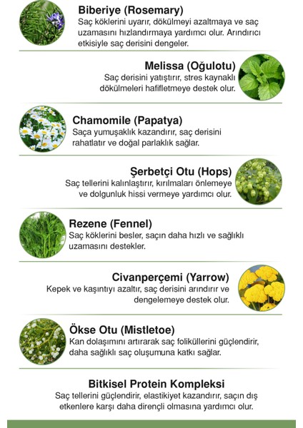 Biberiye Suyu + 6 Bitki Özü + Bitkisel Protein | Saç Dökülmesini Azaltmaya & Uzamayı Desteklemeye Yardımcı | %100 Doğal Tonik 100ML fırsatları