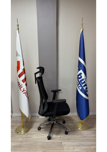 Ofis Ev Personel Yönetici Çalışma Koltuğu Greyder Fırat Ofis modelleri