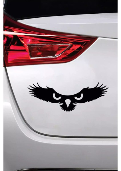 Kartalın Gözleri Sticker Oto Motor Laptop Duvar Folyo Sticker 80 x 32 cm modelleri