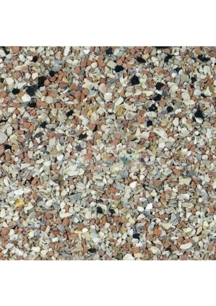 Versele Laga Prestige Grit Anasonlu Mercan Kırıklı Kuş Kumu 500 Gr.