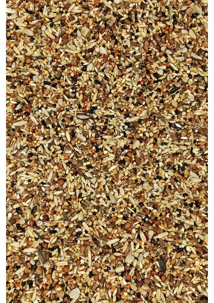 Tüm Kuşlar Için Doğal Taze Sağlık Tohumu Karışımı - 1 kg modelleri