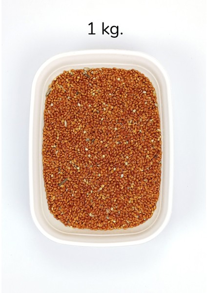 Kırmızı Darı Sade Tozsuz Doğal Taze Kuş Yemi - 1 kg