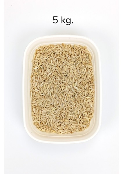 Tüm Kuşlar Için Doğal Taze Soyulmuş Iç Yulaf - 5 kg