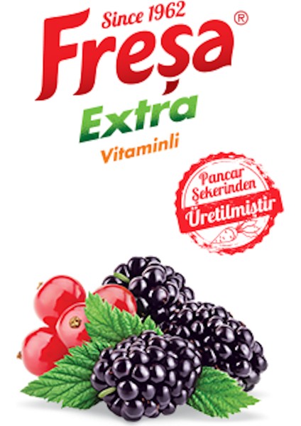 Extra Karadut Frenk Üzümü Mineralli Gazlı İçecek 200 ml x 6 Adet fırsatları