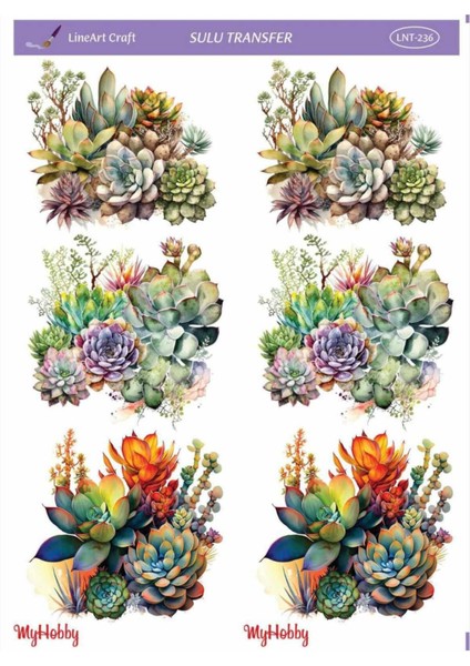 Sulu Transfer LNT236