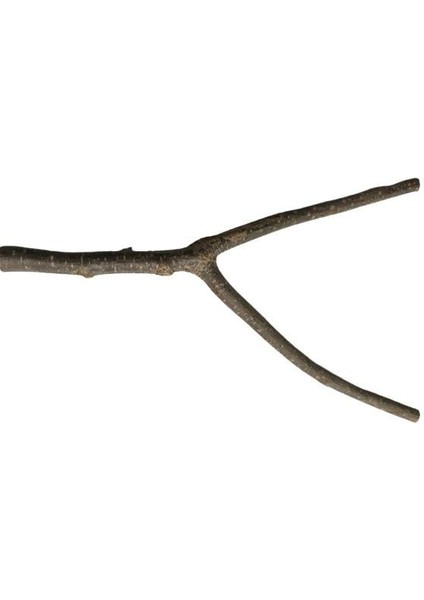 Beak's Doğal Dal Tünek – 2 – 37,5 cm