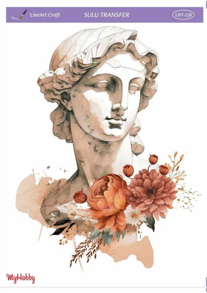 Sulu Transfer LNT238