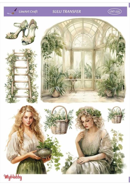 Sulu Transfer LNT235