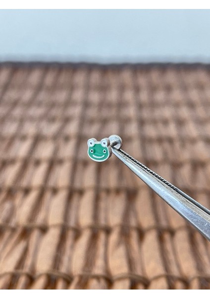 316 L Cerrahi Çelik Mineli Kurbağa Dudak Kıkırdak Helix Tragus Piercingi 8mm x 1,2mm