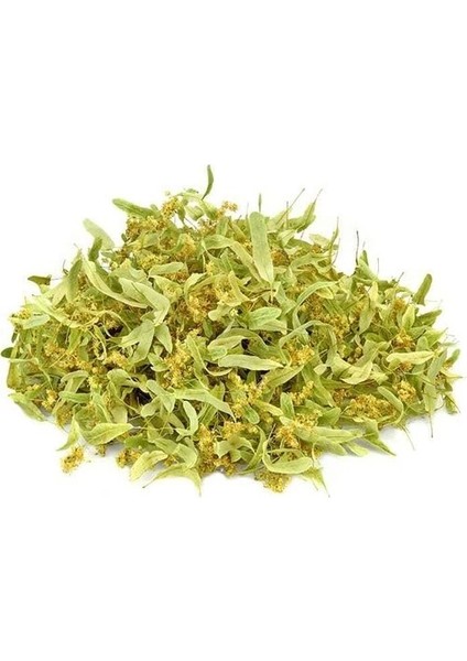 Ihlamur Yaprak Çiçek 1 kg Ihlamur, Derya Eren fiyatları