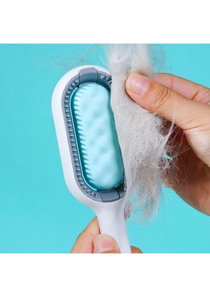 Evcil Hayvanlar Için Çift Taraflı Pet Fırçası Nemli Tüy Tarama Tarağı (4172) fiyatları