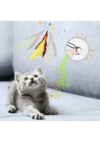 Evcil Hayvanlar Için Çift Taraflı Pet Fırçası Nemli Tüy Tarama Tarağı (4172) indirimleri