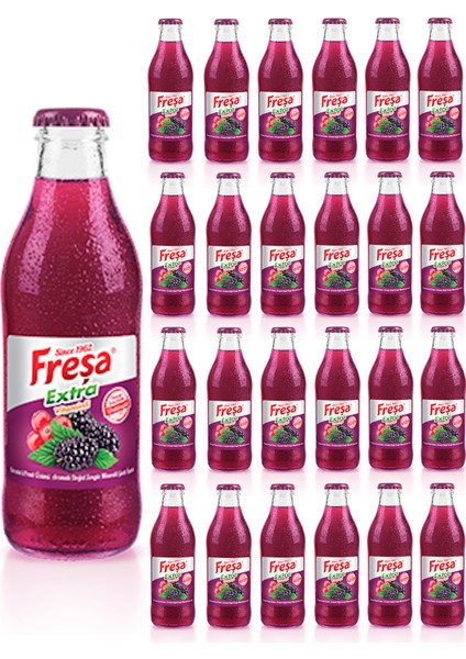 Extra Karadut Frenk Üzümü Mineralli Gazlı İçecek 200 ml x 24 Adet