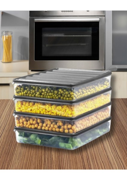 2500 ml 4'lü Saklama Kabı, Gri, Buzluk ve Mikrodalga Uyumlu