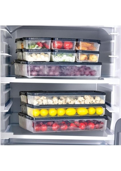 2500 ml 4'lü Saklama Kabı, Gri, Buzluk ve Mikrodalga Uyumlu fiyatları