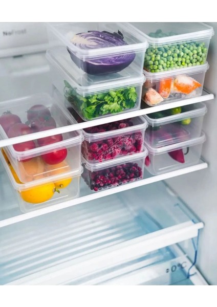 10'lu 2l Kendinden Kapaklı Dondurucu Saklama Kutusu, Turuncu fiyatları