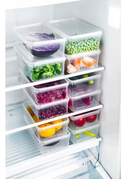 10'lu 2l Kendinden Kapaklı Dondurucu Saklama Kutusu, Turuncu modelleri