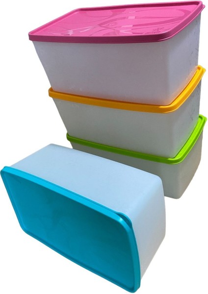 4'lü Çok Renkli Derin Dondurucu Saklama Kabı 3,5 Lt
