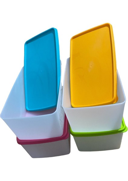 4'lü Çok Renkli Derin Dondurucu Saklama Kabı 3,5 Lt fiyatları