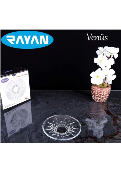 Renkli 6'lı Çay Tabağı Seti, Zarif ve Şık Tasarım