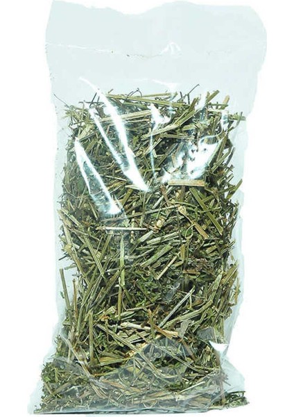 Kırmızı Yoğurt Otu 50 gr Paket, Taze ve Doğal Doğal Sağlıklı Seçenek