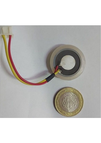 Buhar Kristali ile Ferahlatıcı ve Temiz Hava Deneyimi