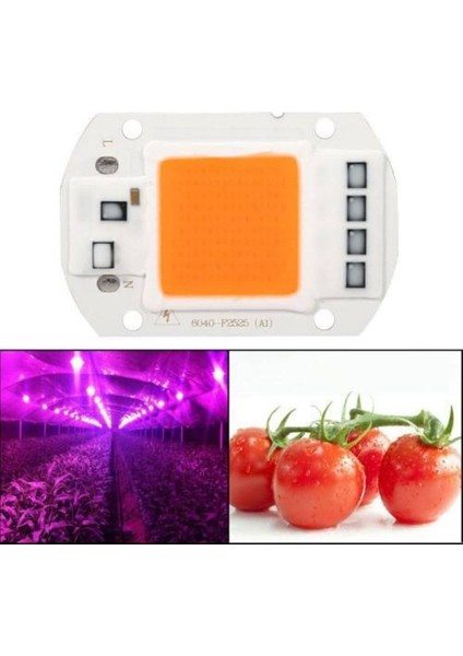 50W Çok Renkli Full Spectrum LED Çip ile Sağlıklı Bitki Gelişimi