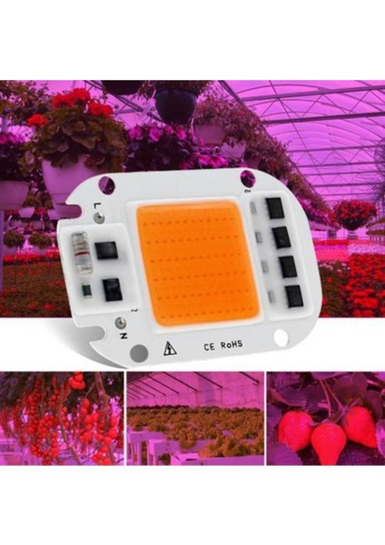 50W Çok Renkli Full Spectrum LED Çip ile Sağlıklı Bitki Gelişimi fiyatları