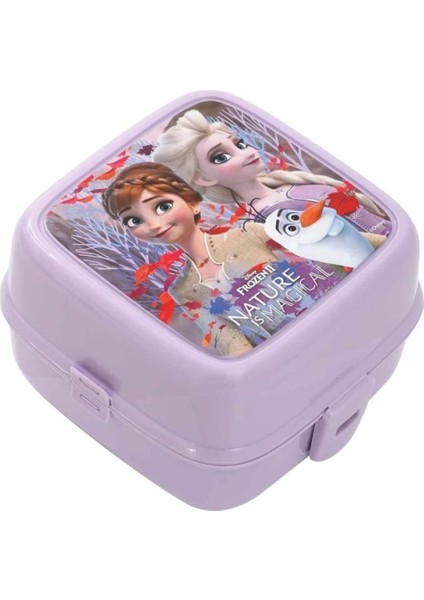 Mor Renkli Sağlıklı ve Şık Beslenme Kabı, Pratik Kullanım Için Ideal Seçenektir